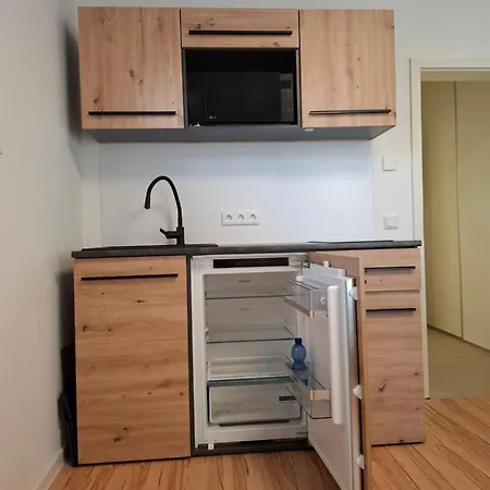 1-zimmer Im Gruenen Stadtgrenze Frankfurt * Бад-Фильбель